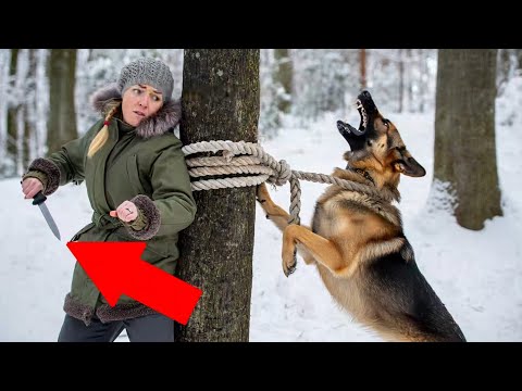 Видео: Девушка спасла немецкую овчарку К9 и что произошло после — невозможно поверить!
