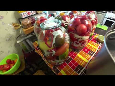 Видео: Такие помидоры зимой съедаются первыми!