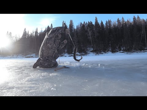 Видео: Зимняя рыбалка на Луге. Выставил на щуку и налима.