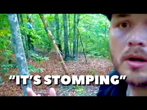 Видео: Нашел ЭТО после того, как выследил Бигфута в горах