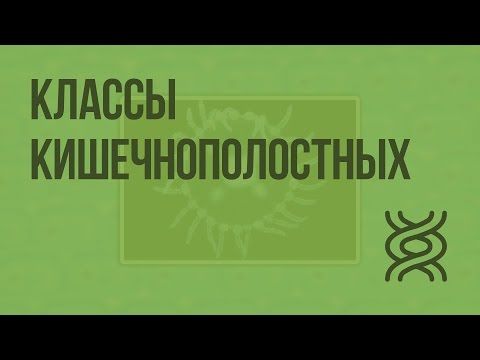 Видео: Классы кишечнополостных. Видеоурок по биологии 7 класс