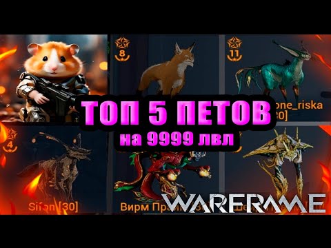 Видео: Warframe: Лучшие компаньоны от 0 до 9999 — топ 5 и обзор!