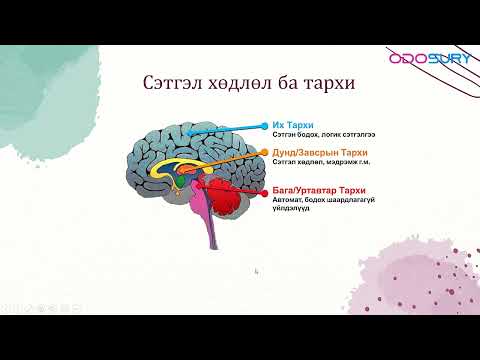 Видео: EQ гэж юу вэ  Ерөнхий ойлголт