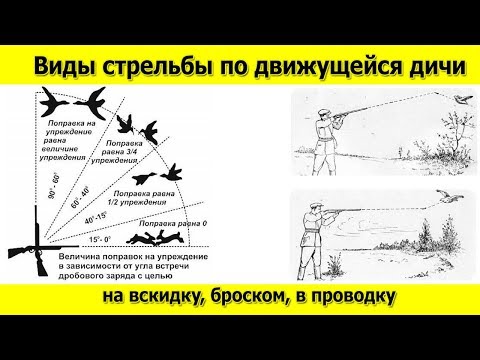 Видео: Что такое стрельба на вскидку, стрельба броском и стрельба в проводку