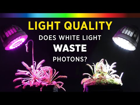 Видео: Grow Lights 101: Лучший спектральный цвет для роста растений? Белый или красный/синий светодиод +...