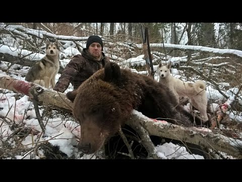 Видео: Пять дней охоты на медведя по первому снегу