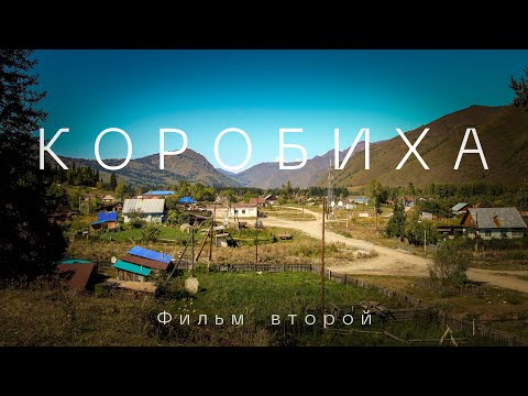 Видео: Коробиха. Медовая столица Алтая. Фильм второй.
