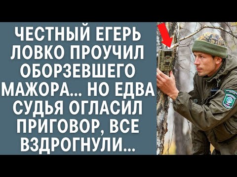 Видео: Честный егерь ловко проучил оборзевшего мажора... Но когда судья огласил приговор, все вздрогнули...