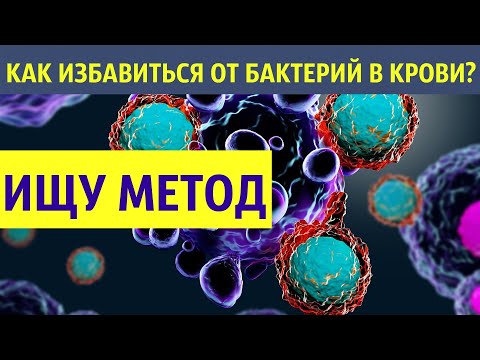 Видео: Как избавиться от бактерий в крови. В поисках метода