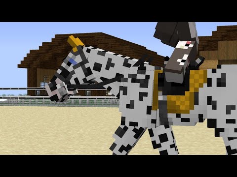 Видео: как скачать мод SWEM? ответ тут. легко и быстро. Играй. Мод тока на компьютер.