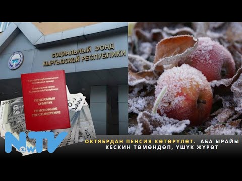 Видео: Октябрдан пенсия көтөрүлөт.  Аба ырайы кескин төмөндөп, үшүк жүрөт