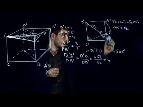 Видео: Задание 14 (Стереометрия). ЕГЭ по математике [Пример 1]