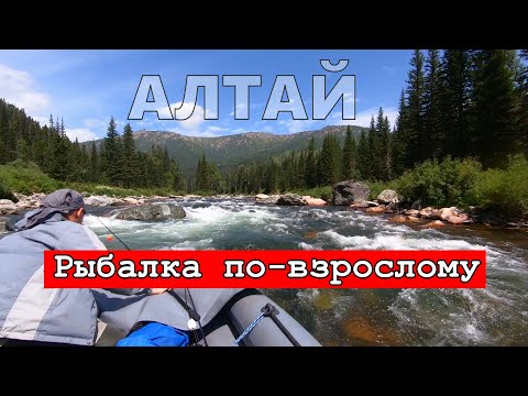 Видео: Рыбалка по-взрослому/На этой реке нет даже местных/На что и как ловить хариуса/Бирюкса #3/Алтай