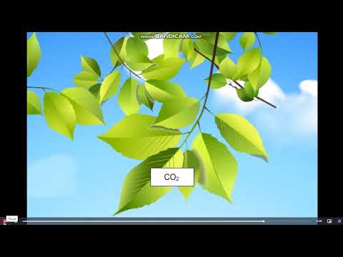 Видео: Пәні: Химия Сыныбы: 8 Тақырыбы: «Оксидтер»