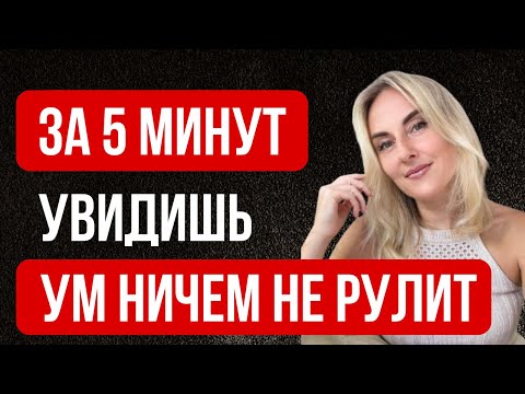 Видео: Доказательство, твою жизнь создает не ум