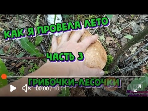 Видео: Как я провела лето. Часть 3. Грибочки-лесочки..)))
