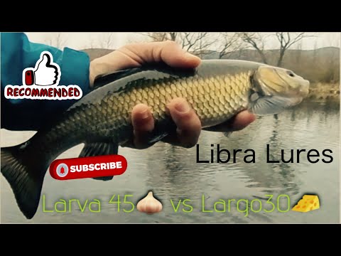 Видео: Отскочих за час до р. Тунджа