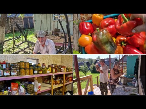 Видео: У ЛЁШИКА ЯБЛОКИ,А Я СОБРАЛА ПЕРЦЫ И ЗАНЯЛАСЬ SАМОГОНОМ. ПОКАЖУ ЧТО В КЛАДОВКЕ.