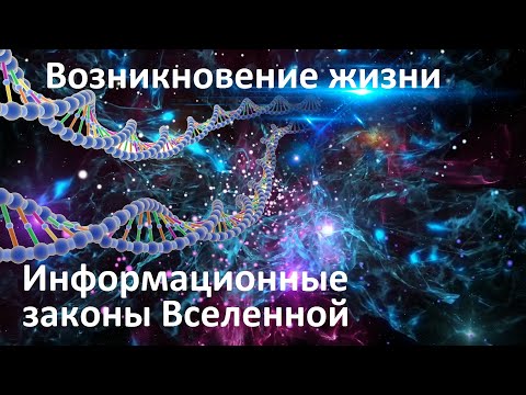 Видео: Информационные законы Вселенной | Случайно ли возникновение жизни