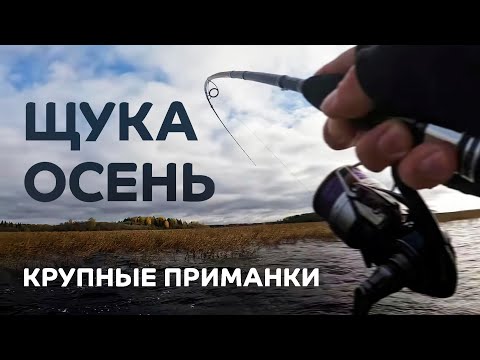 Видео: Осень. Щука. Крупные приманки. Рыбалка с лодки на спиннинг CF Perfect Jig 79-H-T