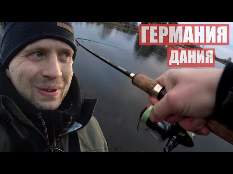 Видео: Рыбалка! Форель на спиннинг...