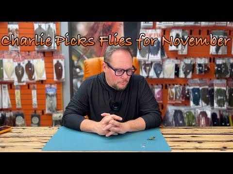 Видео: Чарли выбирает лучшие варианты на ноябрь 2025 года