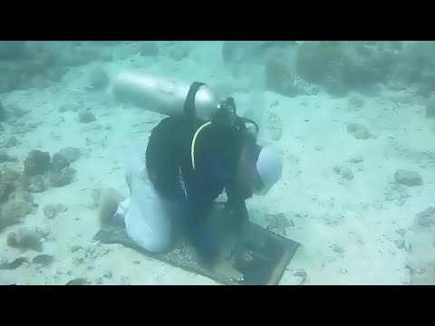 Видео: Абсурдные мемы, которые я нашел в море 💀