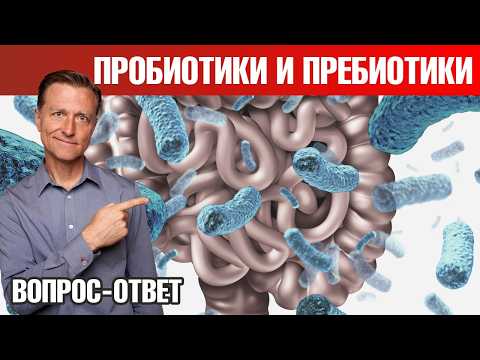 Видео: Микрофлора кишечника 👉 пребиотики питают плохие бактерии?!