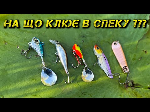 Видео: ✅Воблер чи Тейл-Спінер?? Що Обере Риба в Люту Спеку?✅
