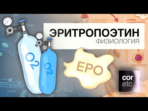 Видео: Эритропоэтин.