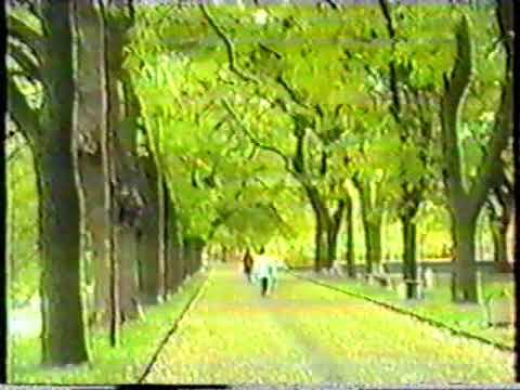 Видео: Ужгород 1997
