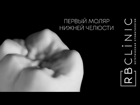 Видео: ПЕРВЫЙ МОЛЯР НИЖНЕЙ ЧЕЛЮСТИ. Морфология. Алгоритм восстановления в секционной методике.
