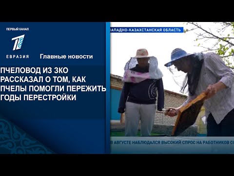 Видео: ПЧЕЛОВОД ИЗ ЗКО РАССКАЗАЛ О ТОМ, КАК ПЧЕЛЫ ПОМОГЛИ ПЕРЕЖИТЬ ГОДЫ ПЕРЕСТРОЙКИ
