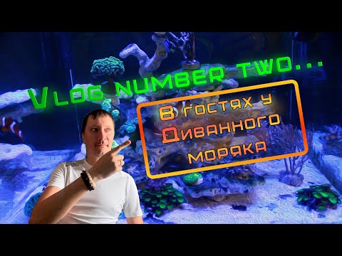 Видео: Vlog #2... В гостях у Диванного моряка
