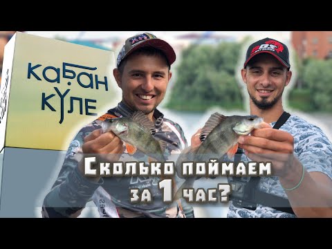 Видео: Рыбалка на скорость. Сколько можно поймать рыбы за 1 час?