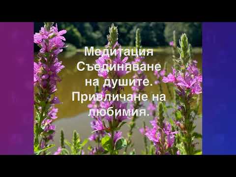 Видео: Привличаме любимия❤💕🤗Направи тази медитация 21 дни! Ключ към щастие  с Ники🔥🗝❤
