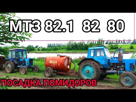 Видео: 6 ТРАКТОРОВ в ПОЛЕ: МТЗ | 82.1 | 82 | 80  Т25  ПОСАДКА ПОМИДОРОВ