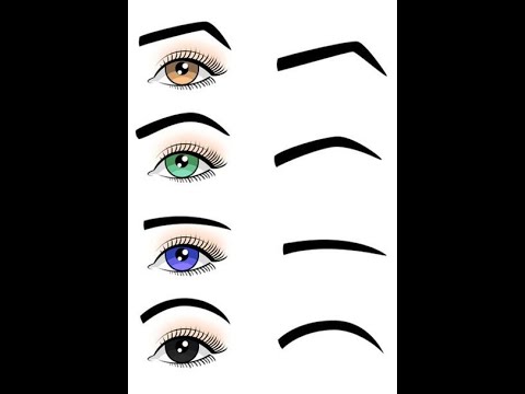 Видео: Построение лица человека . Брови человека