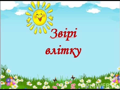 Видео: Звірі  влітку (ІІ частина )