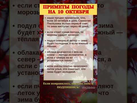Видео: 10 ОКТЯБРЯ - ПРИМЕТЫ ПОГОДЫ #shorts #приметы #погода #народныйпраздниксегодня