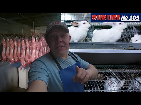 Видео: Пришла весна пришли проблемы  Мясо, Корм, Навоз и Быт  Spring came problems. Meat, Fodder, Manure an