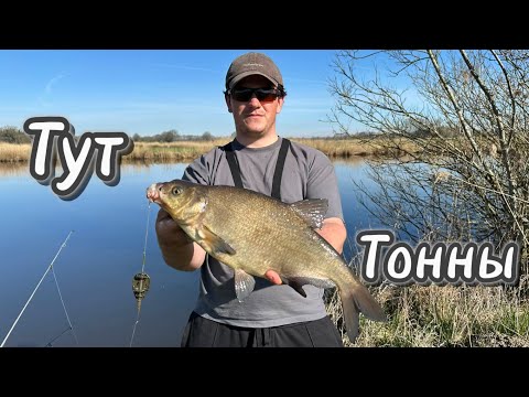 Видео: НОЧЬ. РЕКА. ФИДЕР. И тут началось НЕЧТО… ПРИШЁЛ ЛЕЩ МОЕЙ МЕЧТЫ! Моя ПЕРВАЯ Рыбалка на ФИДЕР Весной!