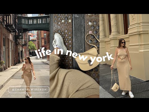 Видео: Мини-путеводитель по Трайбеке в Нью-Йорке | Лучшие места для завтрака, фото для Instagram, походы...