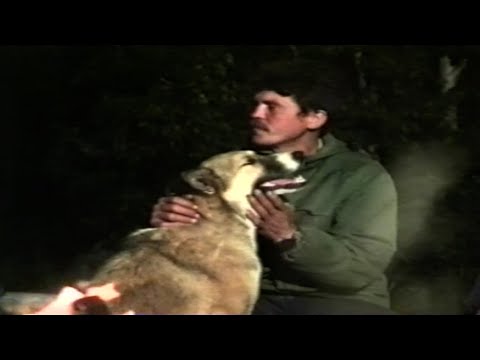 Видео: Возрождение очага. Посёлок Люги — Кадры из прошлого