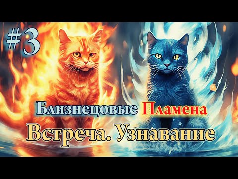 Видео: Близнецовые пламена #3. Встреча. Узнавание. Ошибки.