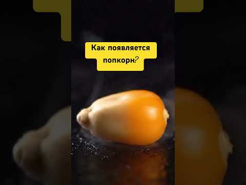 Видео: Как появляется попкорн