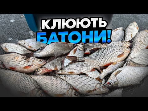Видео: Останній лід.Всю зиму чекав цю рибалку. Плотва нарешті прокинулась