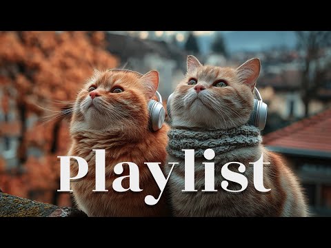 Видео: [Плейлист] Моментально поднимает настроение! 🍁 Осенний плейлист|Для кафе, работы, учёбы|Без рекламы