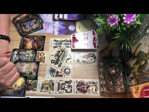 Видео: Мэлхий, Хилэнц, Загас 10/23-10/31 төлөв