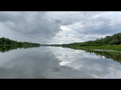 Видео: НАНО РЫБЬЯ!  Река Ока. Рыбалка 2023. Топовый Спиннинг.